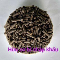 HÌNH 3